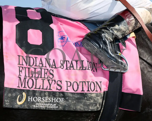 Molly’s Potion - Indiana Stallion Filly Division Sired 10-26-24 R04 Horseshoe Saddle Towel 01