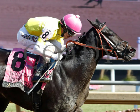 Molly’s Potion - Indiana Stallion Filly Division Sired 10-26-24 R04 Horseshoe Tight Finish 01