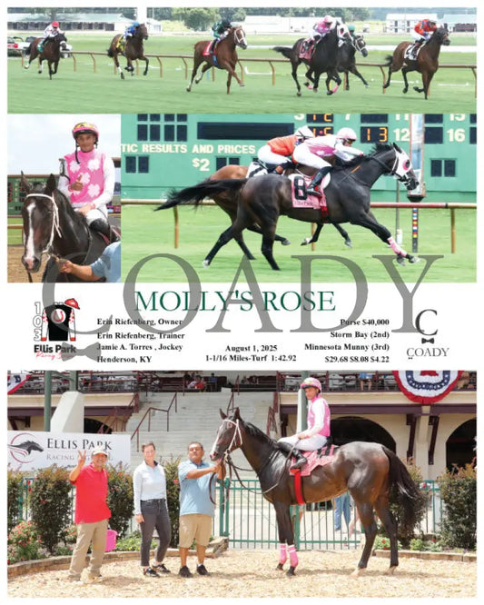 MOLLY’S ROSE - 08-01-25 - R03 - ELP Ellis Park