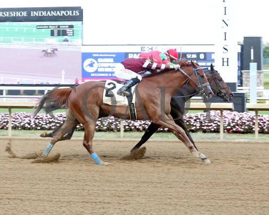 Molly’s Town - Don Dunham Overnight Handicap 09-25-24 R07 Horseshoe Indiana Finish 01 Sammantha