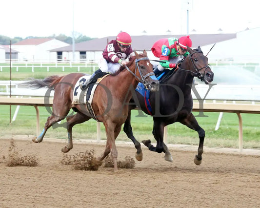 Molly’s Town - Don Dunham Overnight Handicap 09-25-24 R07 Horseshoe Indiana Finish 02 Sammantha