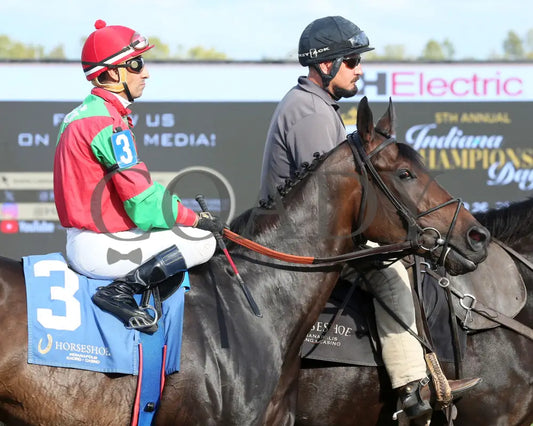 Molly’s Town - Don Dunham Overnight Handicap 09-25-24 R07 Horseshoe Indiana Post Parade 02