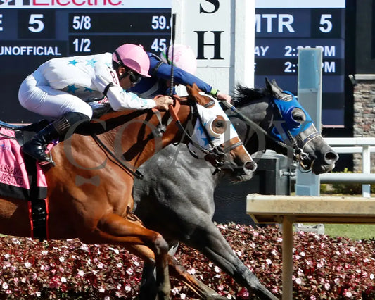 Mondavila - Crown Ambassador 26Th Running 10-26-24 R05 Horseshoe Indiana Tight Finish 01 Devin Hall