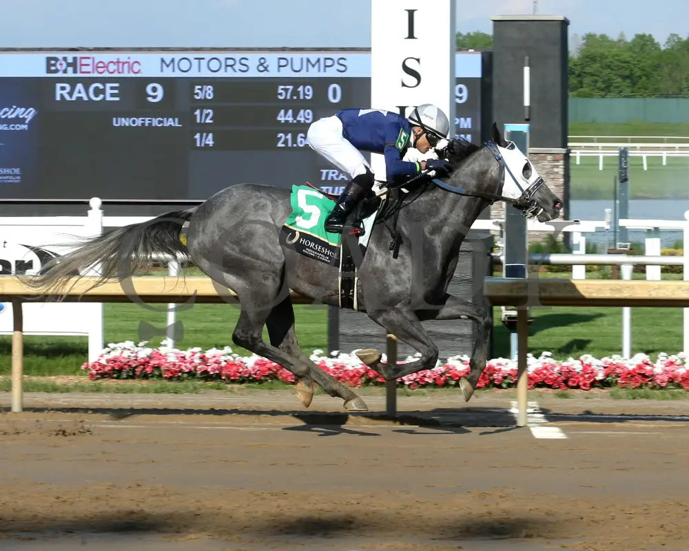 MONDAVILA - Sagamore Sired - 12th Running - 05-14-25 - R09 - Horseshoe Indiana - Finish 01 - Sammantha Pagels Indiana