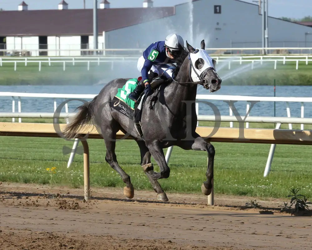MONDAVILA - Sagamore Sired - 12th Running - 05-14-25 - R09 - Horseshoe Indiana - Finish 02 - Sammantha Pagels Indiana