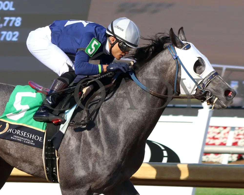 MONDAVILA - Sagamore Sired - 12th Running - 05-14-25 - R09 - Horseshoe Indiana - Tight Finish 01 - Eve Granitz Indiana