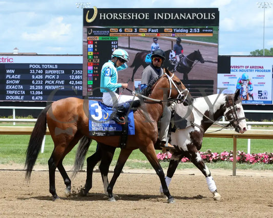 Money Supply - Jonathan B Schuster Memorial 15Th Running 07-06-24 R06 Horseshoe Indiana Post Parade