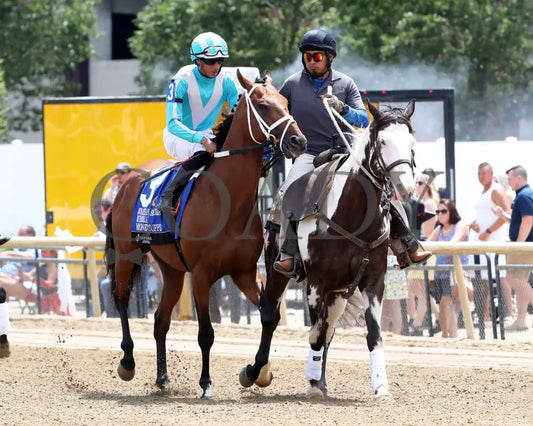 Money Supply - Jonathan B Schuster Memorial 15Th Running 07-06-24 R06 Horseshoe Indiana Post Parade