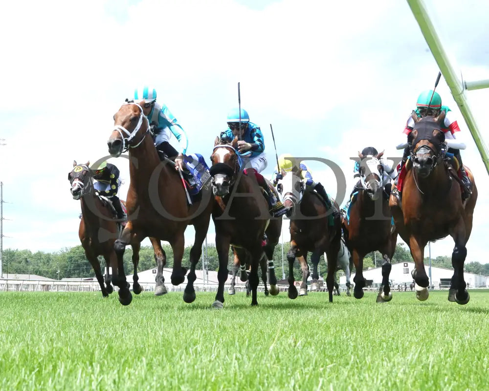 Money Supply - Jonathan B Schuster Memorial 15Th Running 07-06-24 R06 Horseshoe Indiana Under Rail