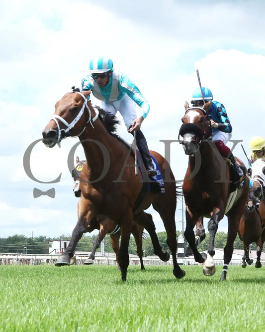 Money Supply - Jonathan B Schuster Memorial 15Th Running 07-06-24 R06 Horseshoe Indiana Under Rail