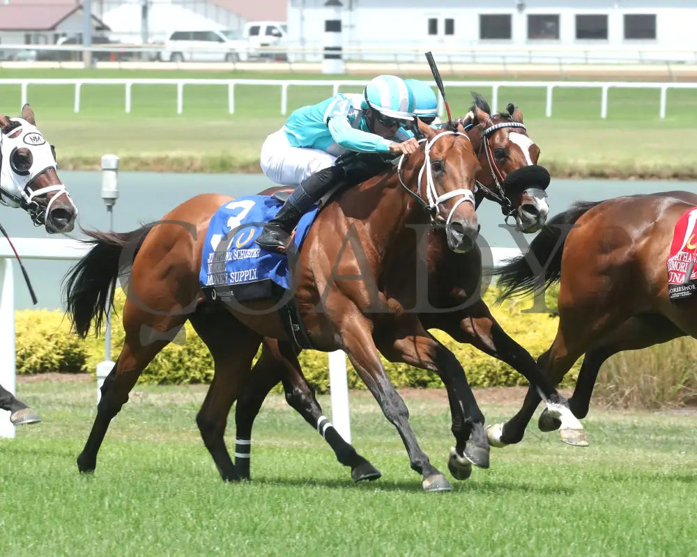 Money Supply - Jonathan B. Schuster Memorial 15Th Running 07-06-24 R06 Ind Finish 02 Indiana Grand