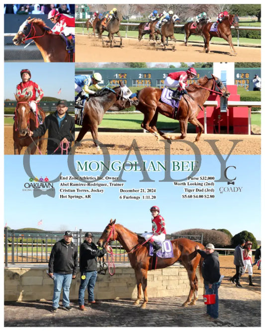 Mongolian Bee - 12-21-24 R04 Op Oaklawn Park