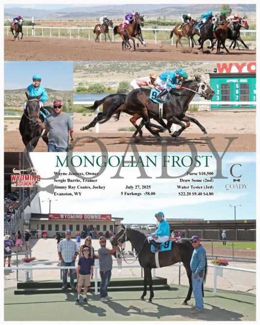 MONGOLIAN FROST - 07-27-25 - R08 - WYO (Copy) Wyoming Downs