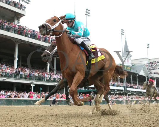 Monomoy Girl - 050418 Race 11 Cd Under Rail 01 Churchill Downs