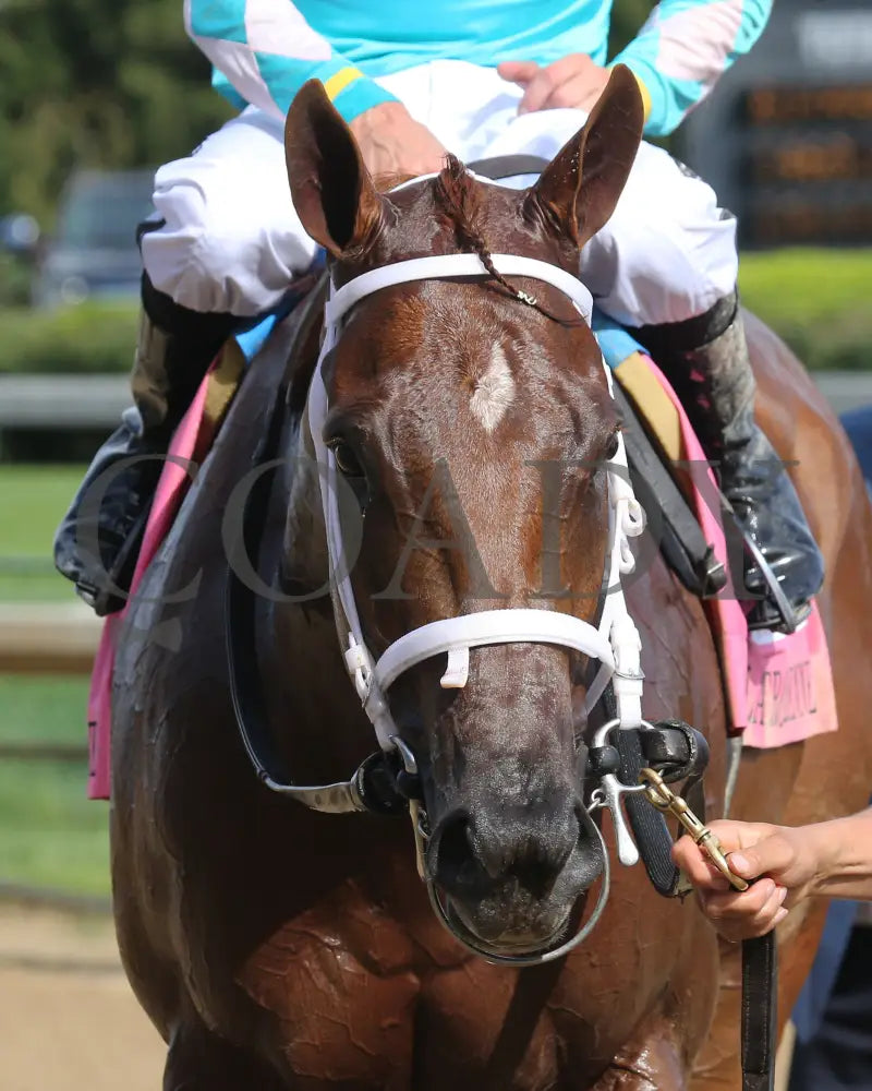 Monomoy Girl - The La Troienne G1 35Th Running 09-04-20 R11 Cd Celebration 10 Churchill Downs