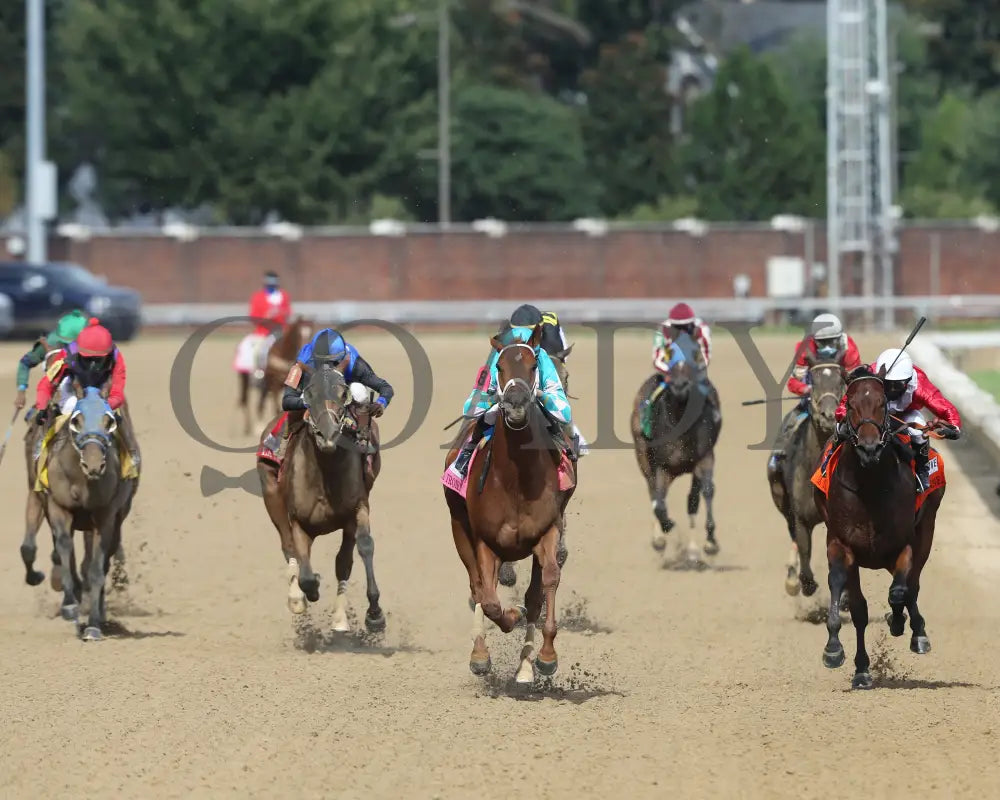 Monomoy Girl - The La Troienne G1 35Th Running 09-04-20 R11 Cd Head On 01 Churchill Downs