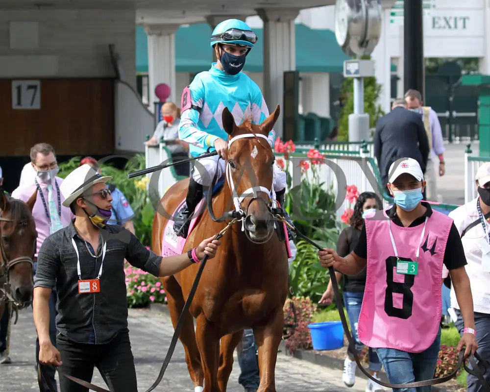 Monomoy Girl - The La Troienne G1 35Th Running 09-04-20 R11 Cd Paddock 01 Churchill Downs
