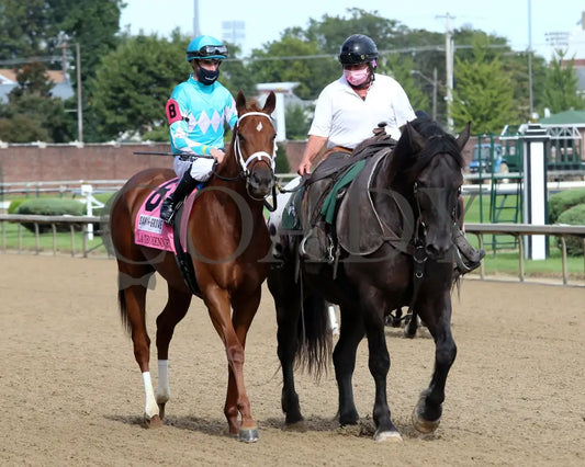 Monomoy Girl - The La Troienne G1 35Th Running 09-04-20 R11 Cd Post Parade 01 Churchill Downs