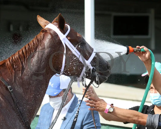Monomoy Girl - The La Troienne G1 35Th Running 09-04-20 R11 Cd Post Race 01 Churchill Downs