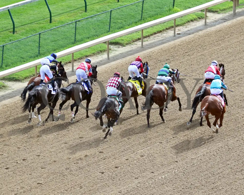 Monomoy Girl - The La Troienne G1 35Th Running 09-04-20 R11 Cd Start 01 Churchill Downs