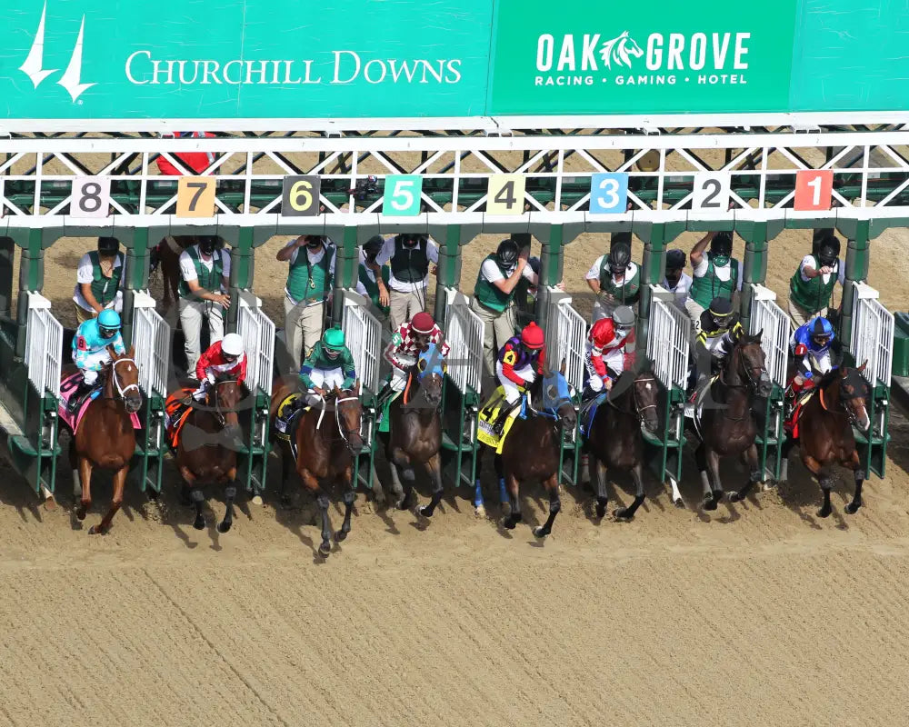 Monomoy Girl - The La Troienne G1 35Th Running 09-04-20 R11 Cd Start 03 Churchill Downs