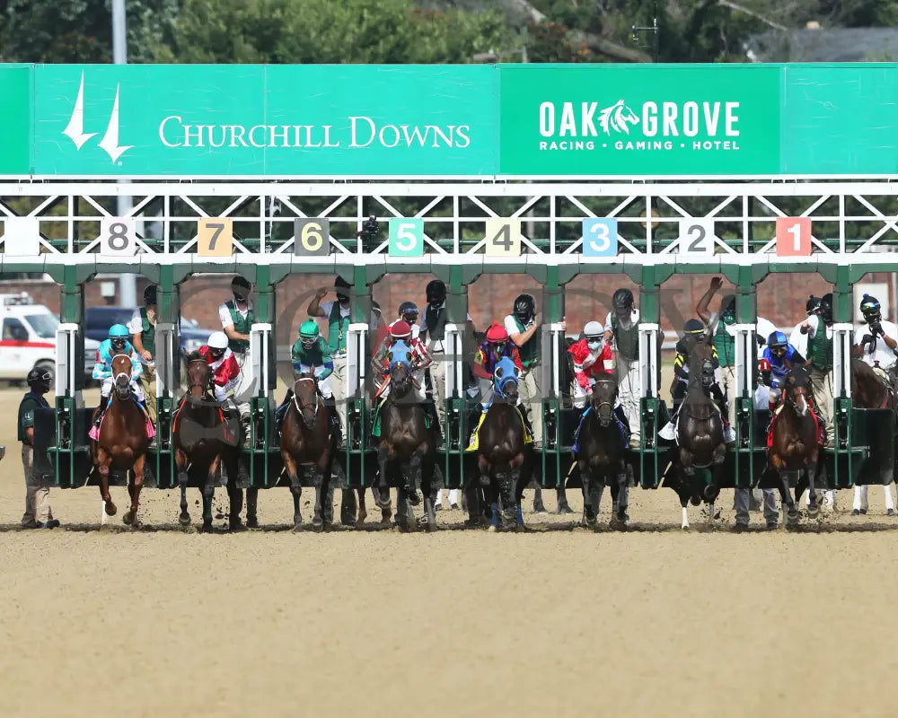 Monomoy Girl - The La Troienne G1 35Th Running 09-04-20 R11 Cd Start 04 Churchill Downs