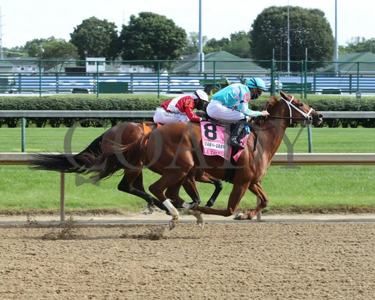 Monomoy Girl - The La Troienne G1 35Th Running 09-04-20 R11 Cd Turn Tight 01 Churchill Downs