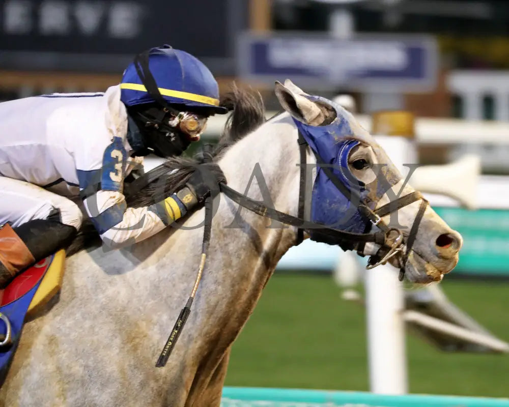 MOONLIGHT - The Cherokee Mile - 11-30-25 - R11 - CD - Finish 03 - Coady Media - Kurtis Coady Photography