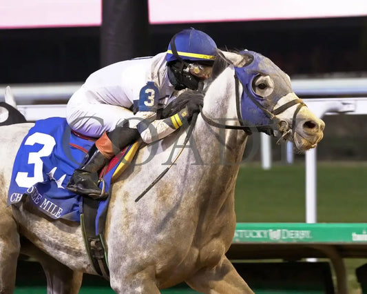 MOONLIGHT - The Cherokee Mile - 11-30-25 - R11 - CD - Finish 05 - Coady Media - Kurtis Coady Photography