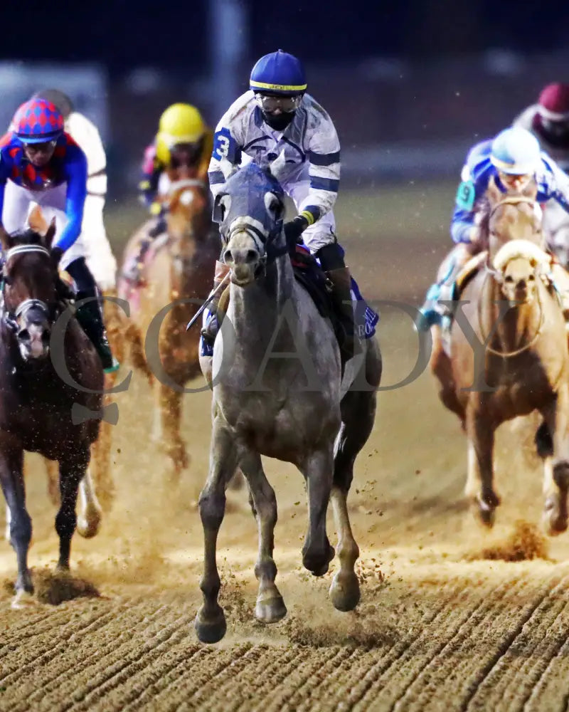 MOONLIGHT - The Cherokee Mile - 11-30-25 - R11 - CD - Gallop Out 01 - Coady Media - Kurtis Coady Photography