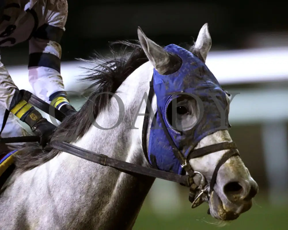 MOONLIGHT - The Cherokee Mile - 11-30-25 - R11 - CD - Gallop Out 02 - Coady Media - Kurtis Coady Photography