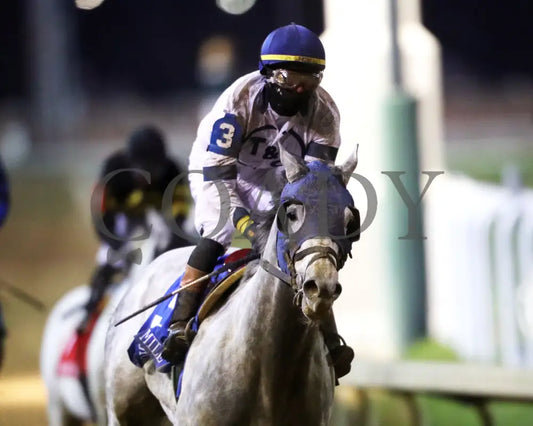 MOONLIGHT - The Cherokee Mile - 11-30-25 - R11 - CD - Gallop Out 03 - Coady Media - Kurtis Coady Photography