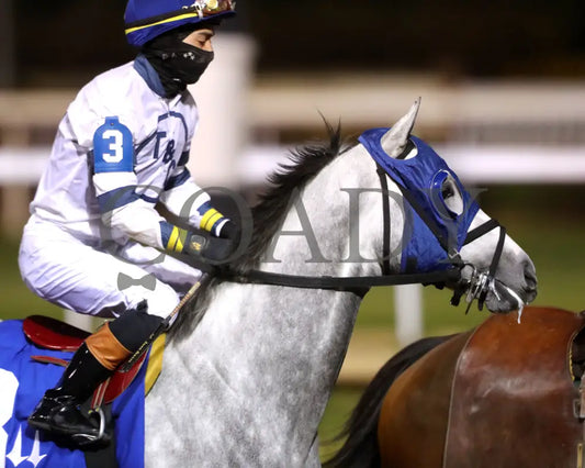 MOONLIGHT - The Cherokee Mile - 11-30-25 - R11 - CD - Post Parade 01 - Coady Media - Kurtis Coady Photography