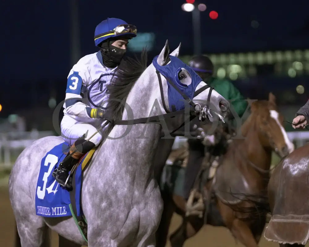 MOONLIGHT - The Cherokee Mile - 11-30-25 - R11 - CD - Post Parade 02 - Coady Media - Kurtis Coady Photography