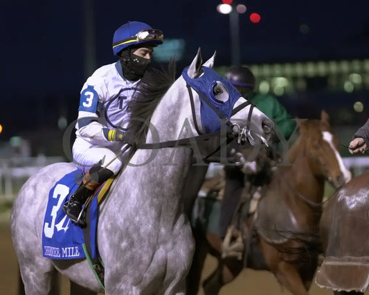 MOONLIGHT - The Cherokee Mile - 11-30-25 - R11 - CD - Post Parade 02 - Coady Media - Kurtis Coady Photography