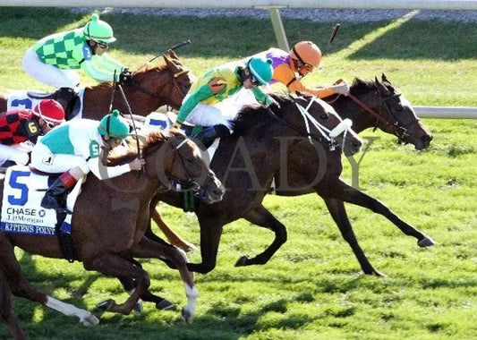 Moonwalk - Aerial -101112 Race 08 Keeneland
