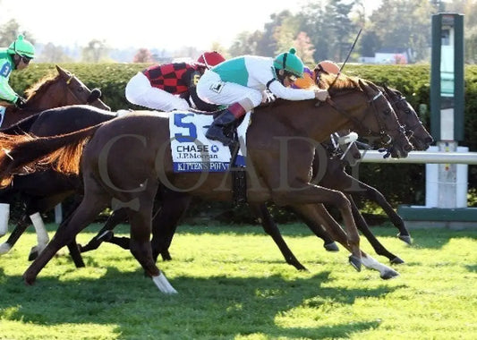 Moonwalk - Finish -101112 Race 08 Keeneland