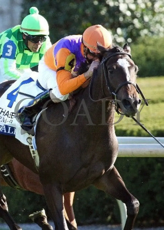 Moonwalk - Finish Tight -101112 Race 08 Keeneland