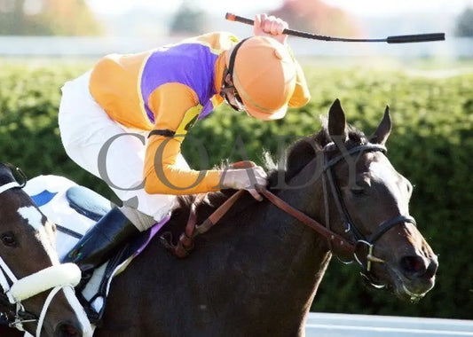 Moonwalk - Finish Tight 2 -101112 Race 08 Keeneland