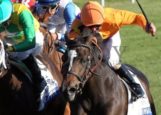 Moonwalk - Inside -101112 Race 08 Keeneland