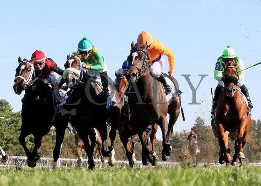 Moonwalk - Under Rail -101112 Race 08 Keeneland