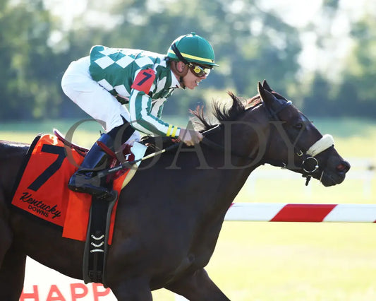 Morticia - Spendthrift Farm Ladies Sprint G3 7Th Running 09-07-19 R09 Kd Finish 02 Kentucky Downs