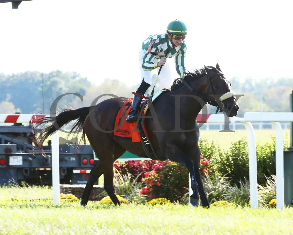 Morticia - Spendthrift Farm Ladies Sprint G3 7Th Running 09-07-19 R09 Kd Finish 03 Kentucky Downs