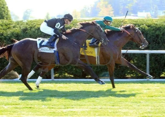 Moryba - 100711 Keeneland