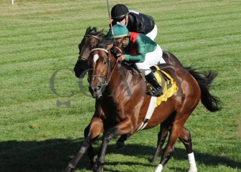 Moryba - Inside 2 -100711 Race 07 Keeneland