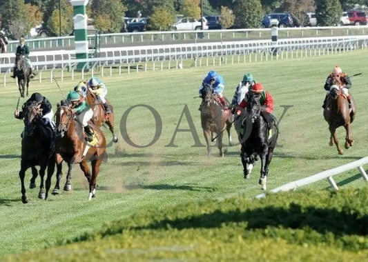 Moryba - Inside Stretch 100711 Race 07 Keeneland