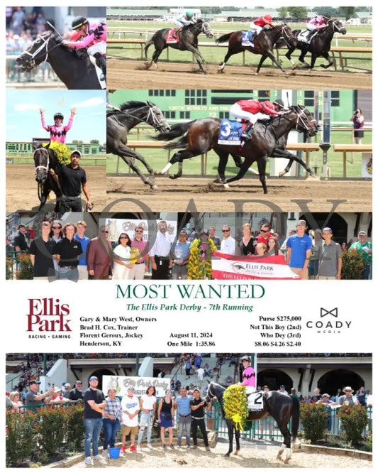 Most Wanted - The Ellis Park Derby 7Th Running 08-11-24 R06 Elp