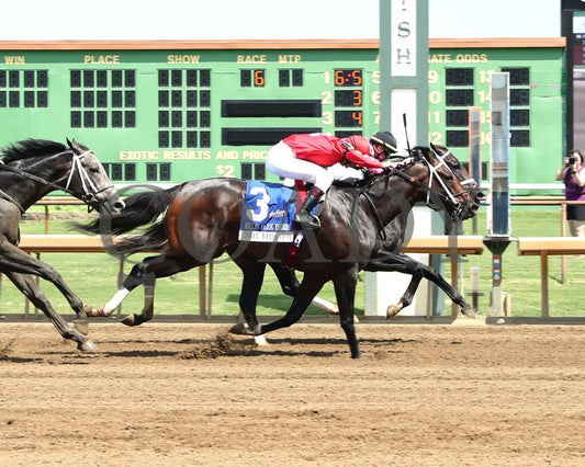 Most Wanted - The Ellis Park Derby 7Th Running 08-11-24 R06 Elp Finish 01