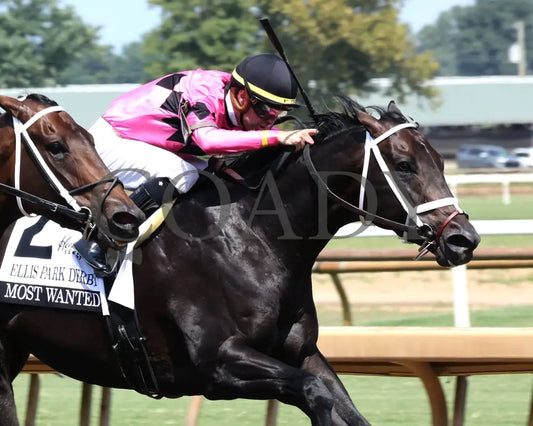 Most Wanted - The Ellis Park Derby 7Th Running 08-11-24 R06 Elp Finish 02