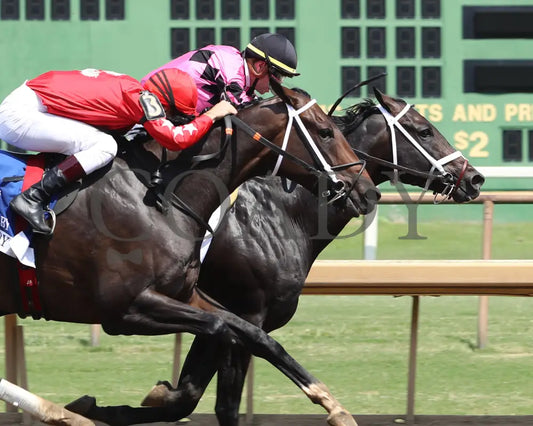 Most Wanted - The Ellis Park Derby 7Th Running 08-11-24 R06 Elp Finish 03